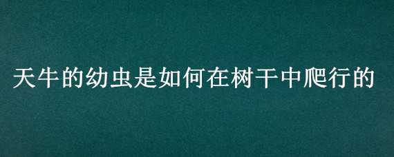 天牛的幼虫是如何在树干中爬行的（天牛的幼虫在什么树干中爬行）