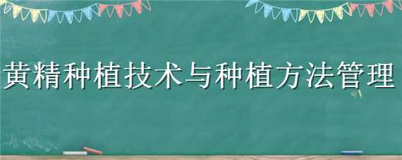 黄精种植技术与种植方法管理 黄精种植方法及田间管理技术