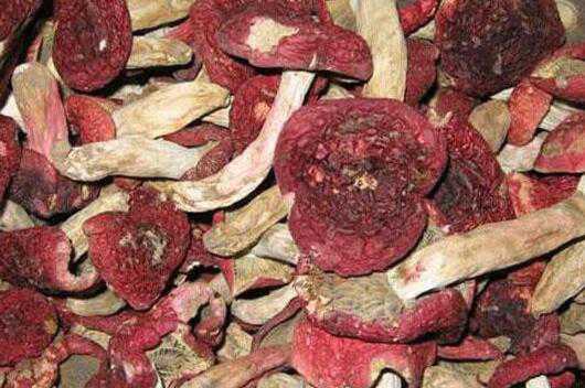 血菇怎么做好吃 血菇的家常做法