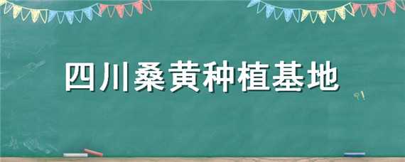 四川桑黄种植基地 四川桑黄种植基地地址