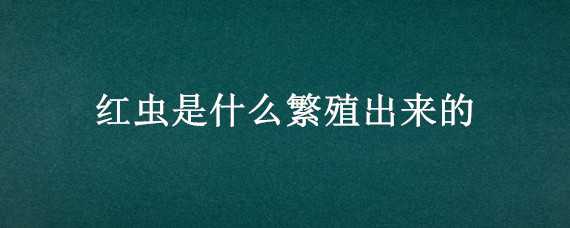 红虫是什么繁殖出来的 红虫本身繁殖吗