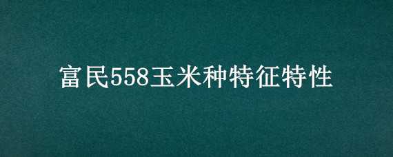 富民558玉米种特征特性 富民58玉米品种特性