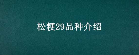 松粳29品种介绍 松粳28水稻种