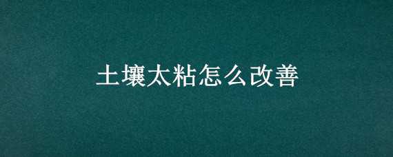 土壤太粘怎么改善（粘土怎么改善土壤）