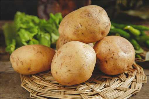马铃薯的种植方法是什么