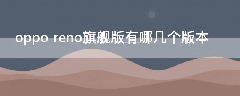 oppo reno旗舰版有哪几个版本