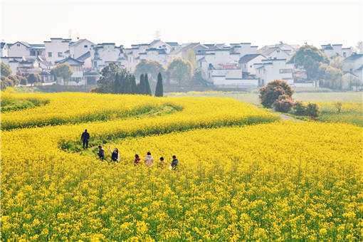 休闲农业促进农民增收