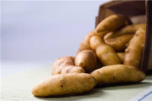 发芽的马铃薯含有什么毒素 发芽的马铃薯含有什么毒素吗