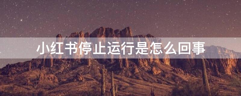 小红书停止运行是怎么回事