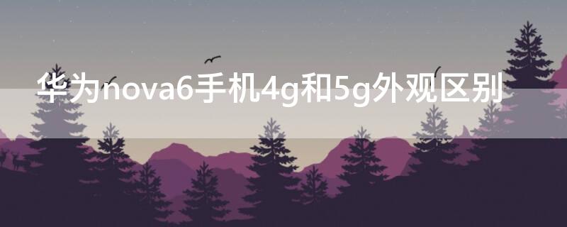 华为nova6手机4g和5g外观区别