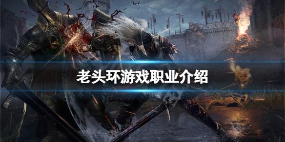 艾尔登法环职业到后期都一样吗(艾尔登法环是什么类型)