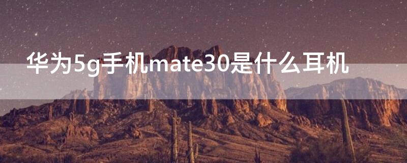 华为5g手机mate30是什么耳机