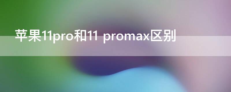 iPhone11pro和11 promax区别