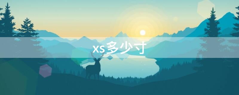 xs多少寸