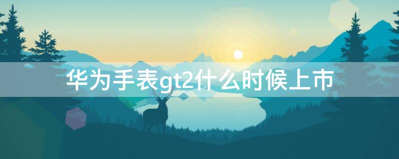 华为手表gt2什么时候上市