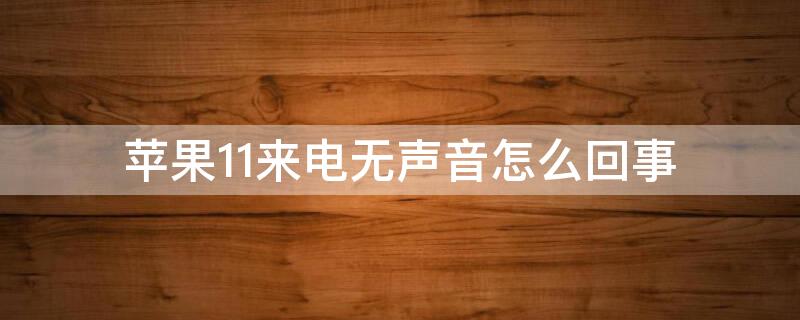 iPhone11来电无声音怎么回事