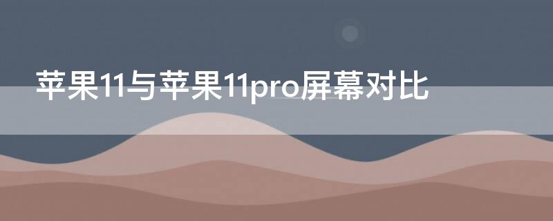 iPhone11与iPhone11pro屏幕对比