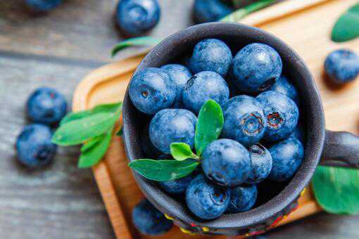 一亩地能收多少斤蓝莓（10亩地能收多少蓝莓）