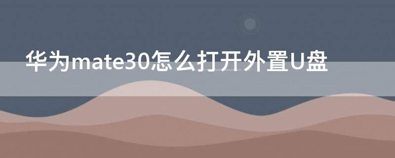 华为mate30怎么打开外置U盘