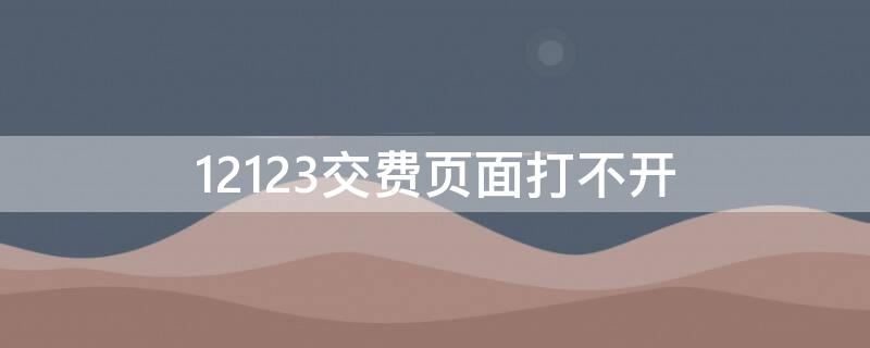 12123交费页面打不开