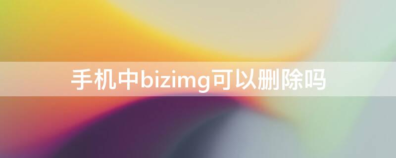 手机中bizimg可以删除吗