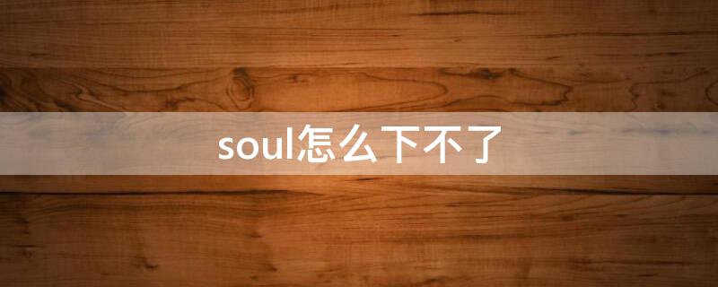 soul怎么下不了