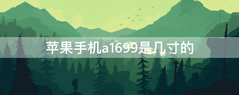 iPhone手机a1699是几寸的