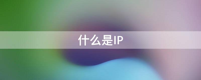 什么是IP