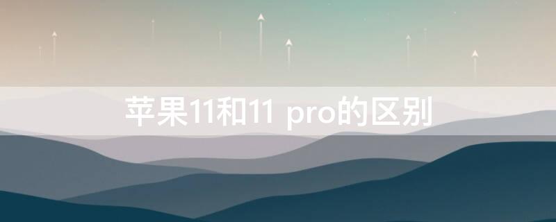 iPhone11和11 pro的区别