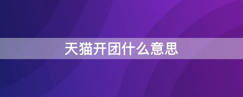 天猫开团什么意思
