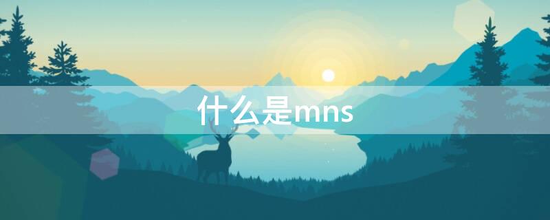 什么是mns