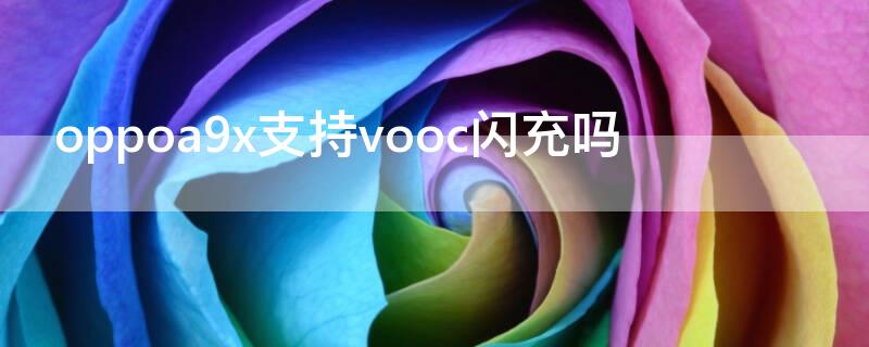 oppoa9x支持vooc闪充吗