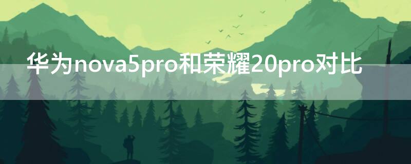 华为nova5pro和荣耀20pro对比