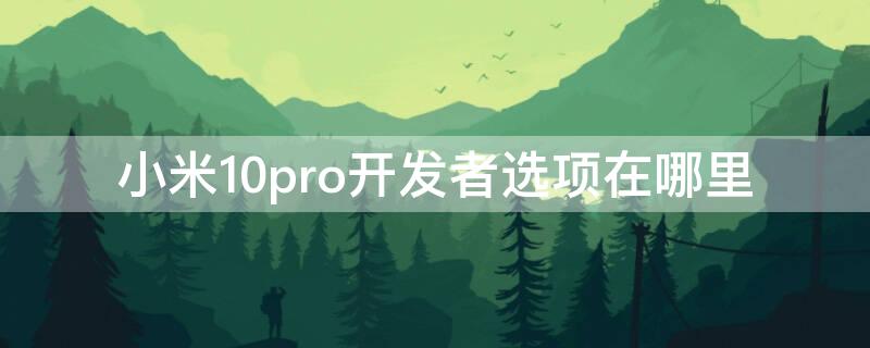 小米10pro开发者选项在哪里