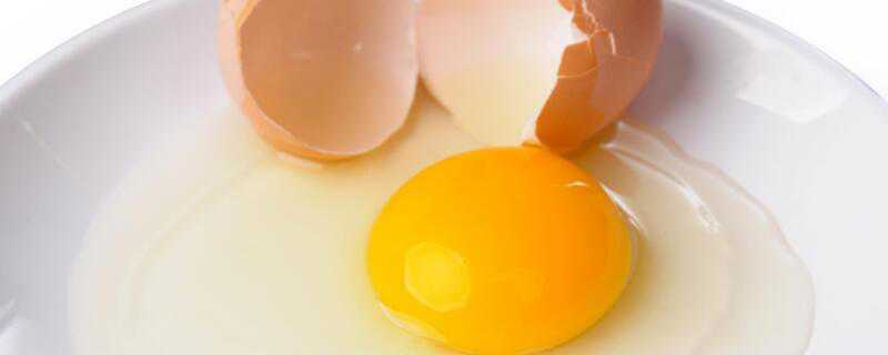 蛋黄可以生吃吗
