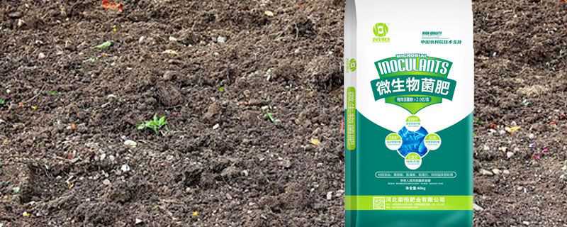 菌肥的执行标准 菌肥的执行标准884