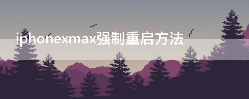 iPhonexmax强制重启方法