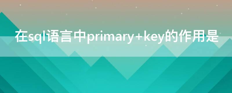 在sql语言中primary key的作用是