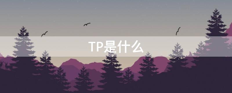 TP是什么