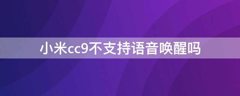 小米cc9不支持语音唤醒吗