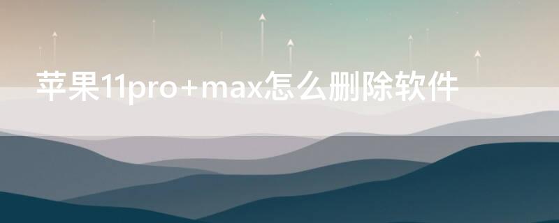 iPhone11pro max怎么删除软件