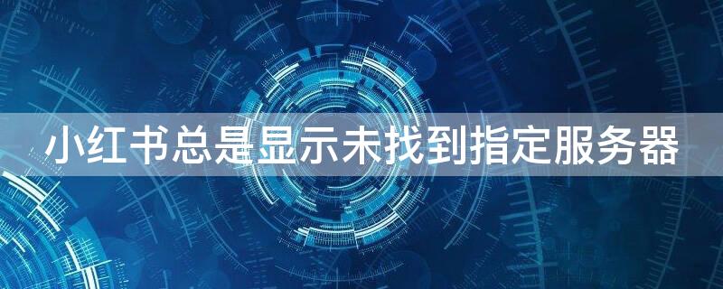 小红书总是显示未找到指定服务器