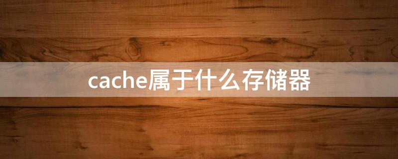 cache属于什么存储器