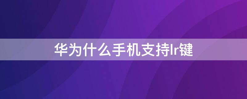 华为什么手机支持lr键