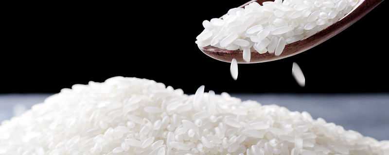 粳米和籼米的区别 粳米和籼米的区别哪个好