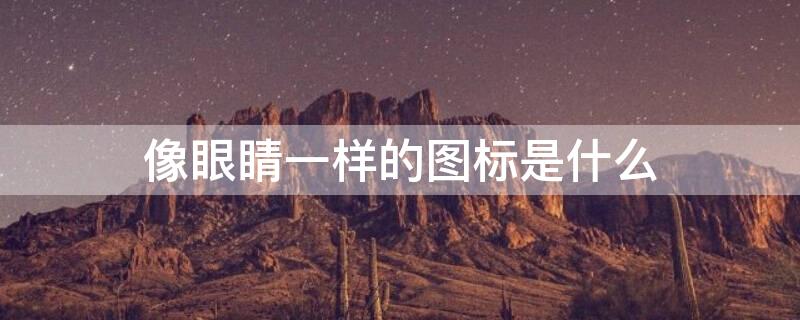 像眼睛一样的图标是什么