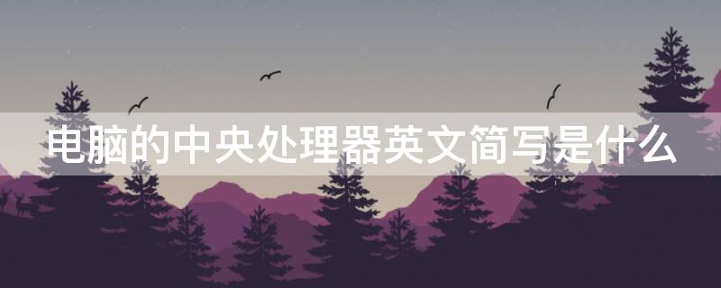 电脑的中央处理器英文简写是什么