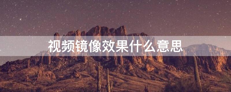 视频镜像效果什么意思