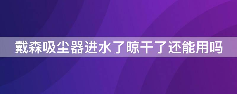 戴森吸尘器进水了晾干了还能用吗