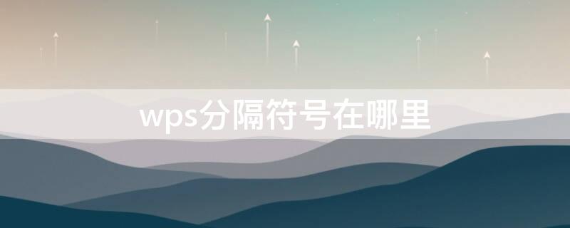 wps分隔符号在哪里